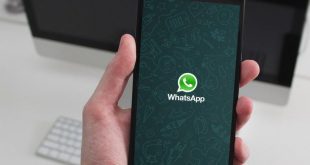 whatsapp tidak terhubung